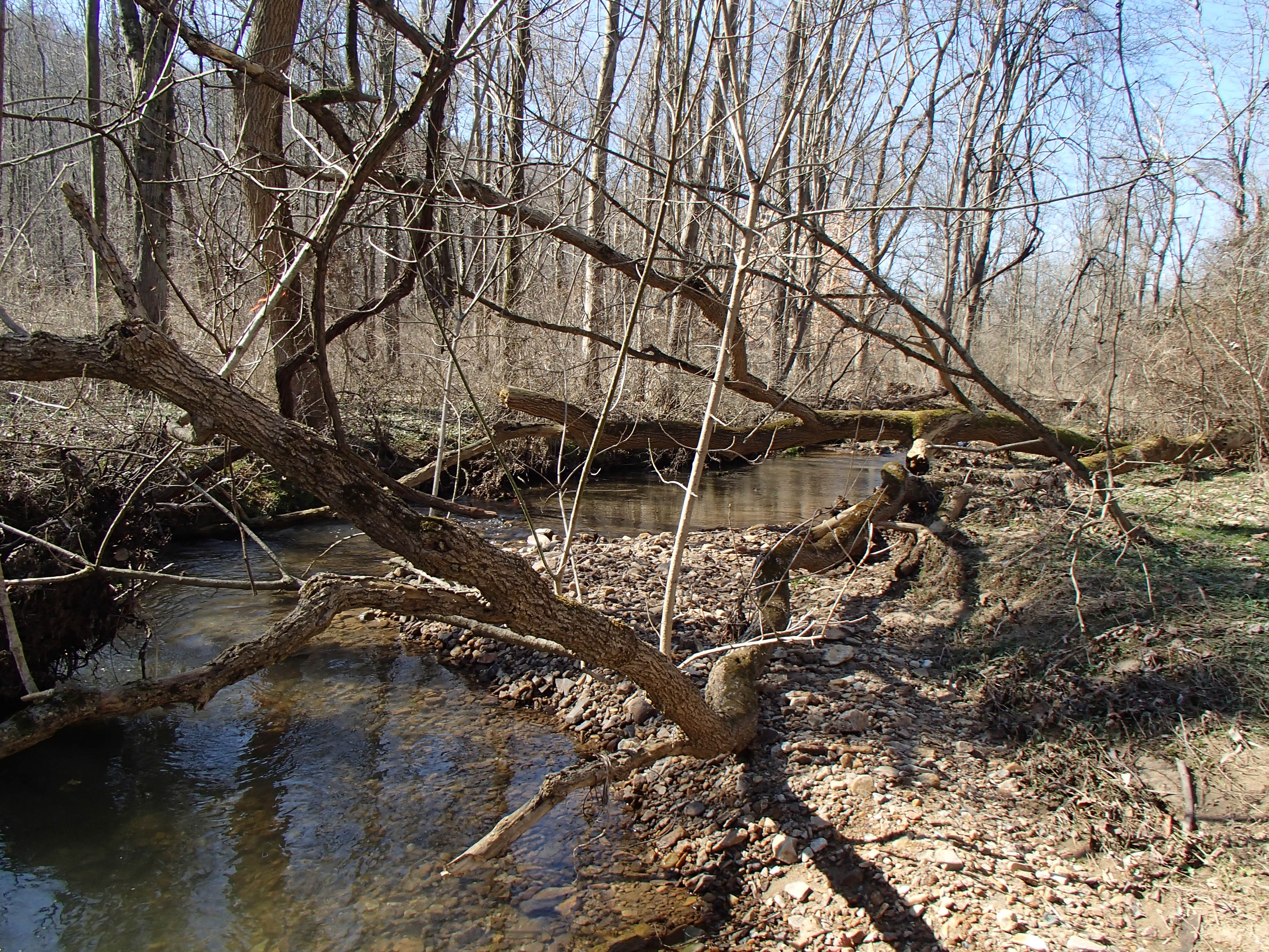 Field photo showing stream conditions at site JONE-213-R-2016_Midpoint upstream